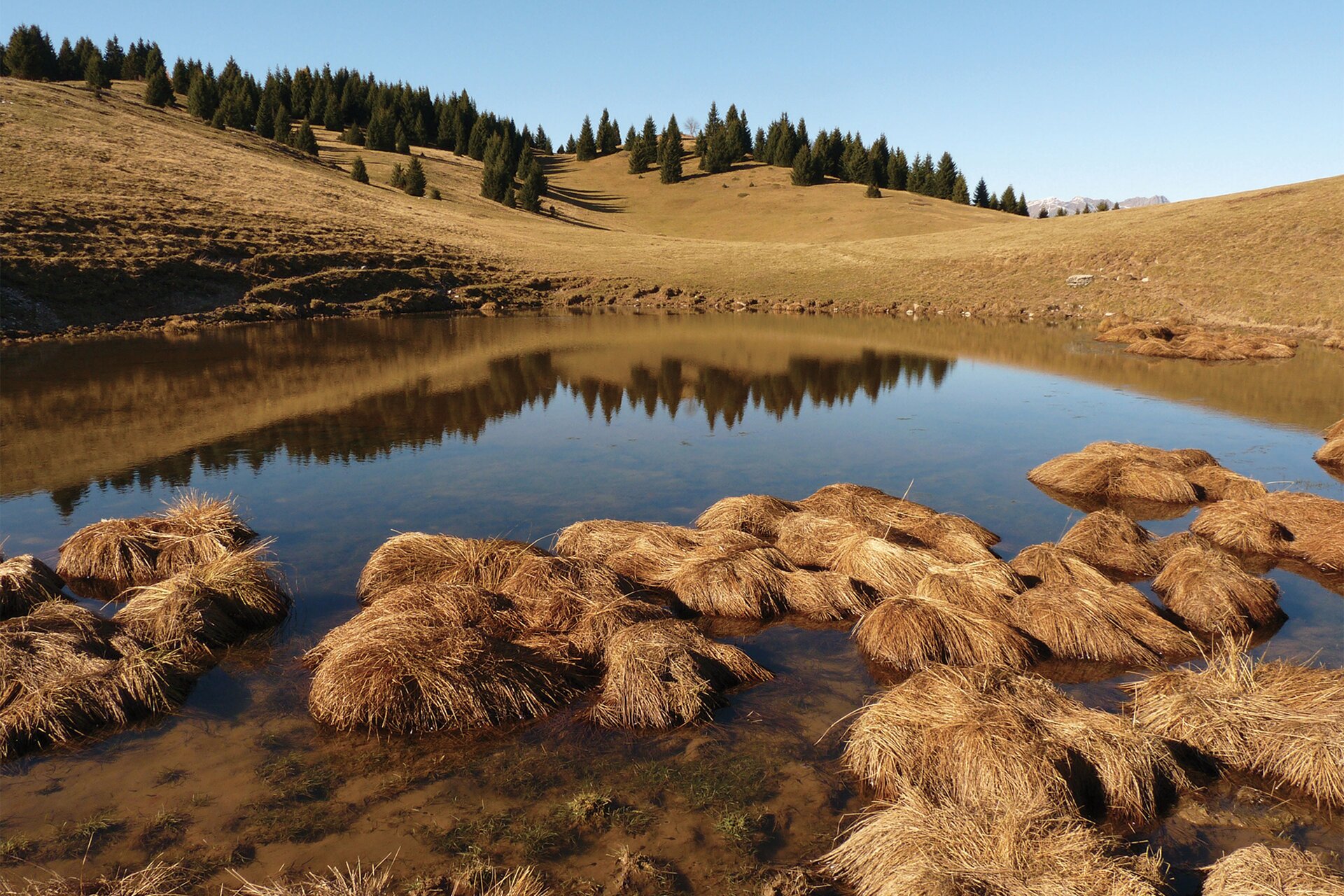 Il Parco Naturale Adamello Brenta