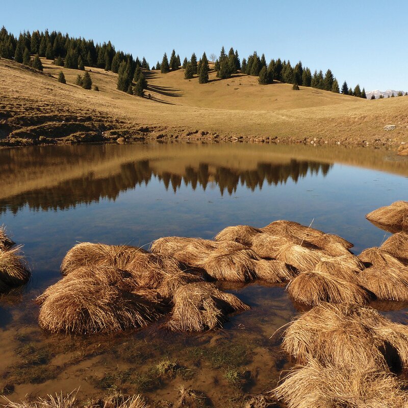 Il Parco Naturale Adamello Brenta