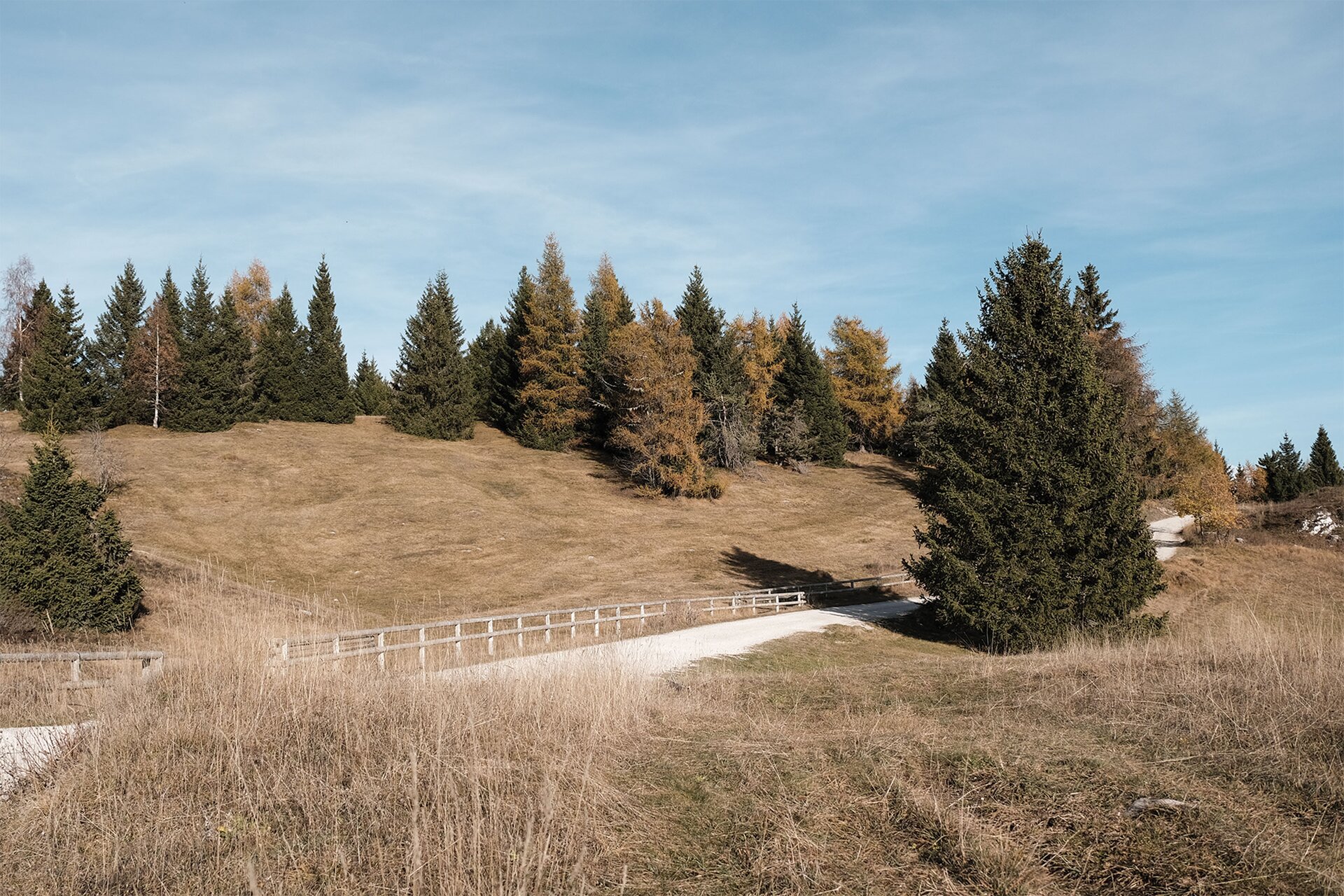 Monte Peller, Vergondola, Boiara e fioritura del Peller