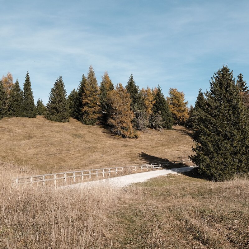 Monte Peller, Vergondola, Boiara e fioritura del Peller